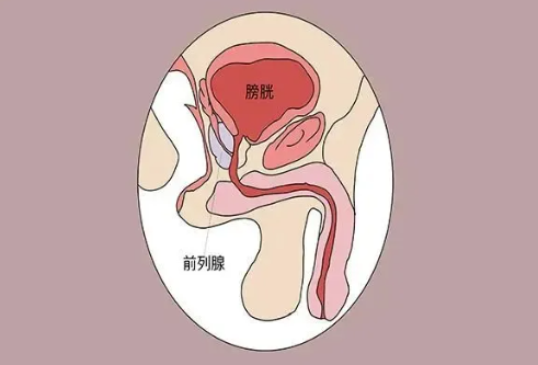 注意！縱欲和禁欲，最受傷的還是男人的這個(gè)器官！(圖1)